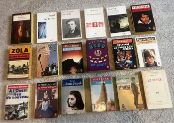 Collection de 18 livres littérature Française