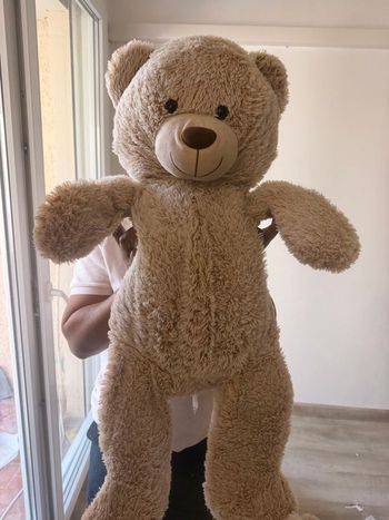 Gros ours 