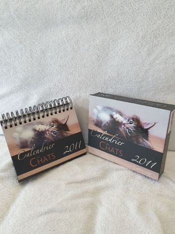 Calendrier des chats 2021