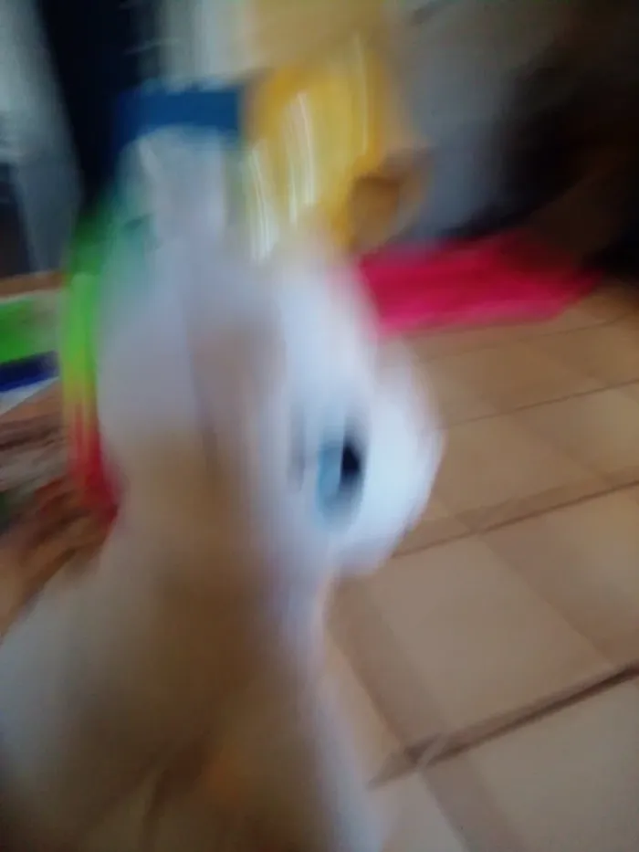 Peluche 🦄 - photo numéro 2