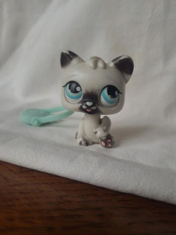 chat petshop qui tire la langue