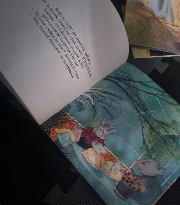 Livre enfant (Barnabé veut lire !) Dès 5ans - photo numéro 8