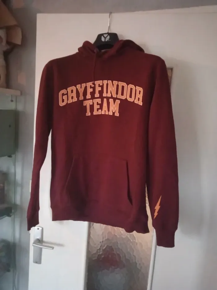 Pull Harry Potter Gryffindor team