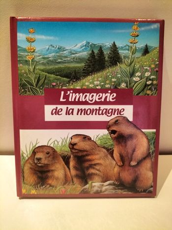 L'imagerie de la Montagne
