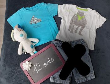 Lot de 2 tee-shirts garçon