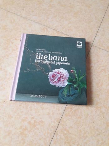 Petit livre - Ikebana l'art végétal  japonais