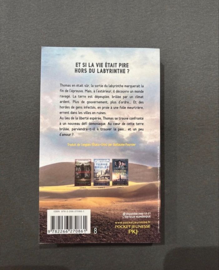 Livres  Le  Labyrinthe - photo numéro 3