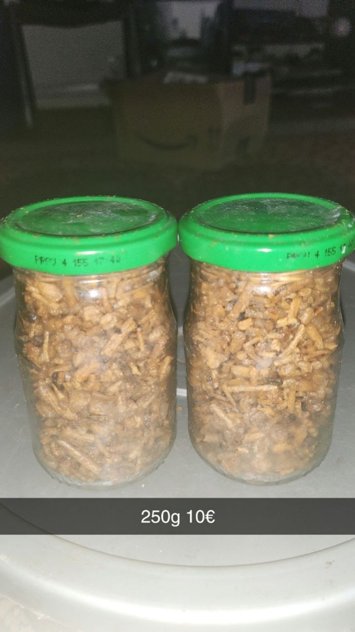 Encens wousoulan maison - photo numéro 2