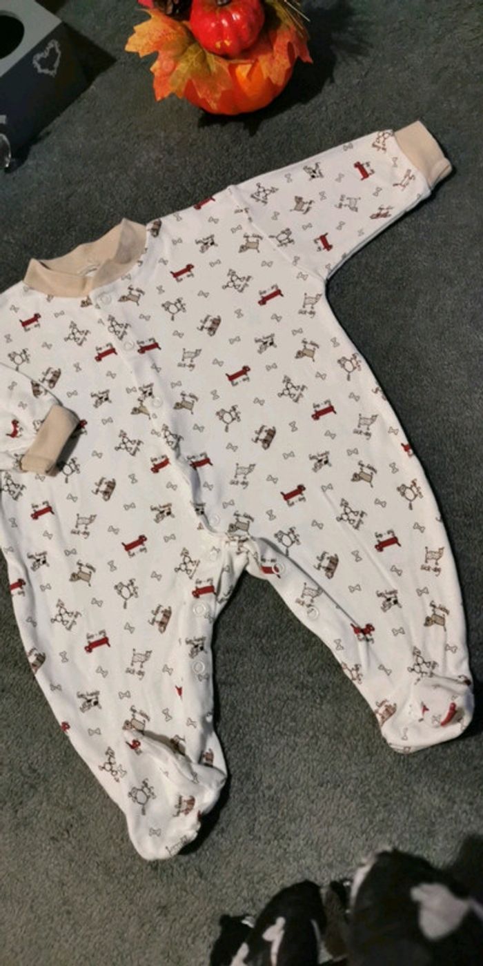 Pyjama mi saison motif chiens
