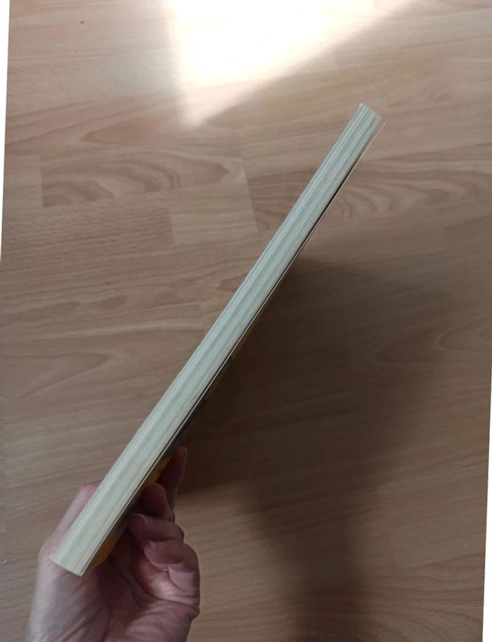 Le trésor de la pierre aux corbeaux - photo numéro 4