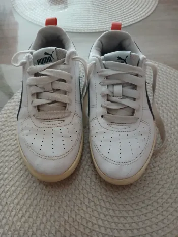 Basket puma