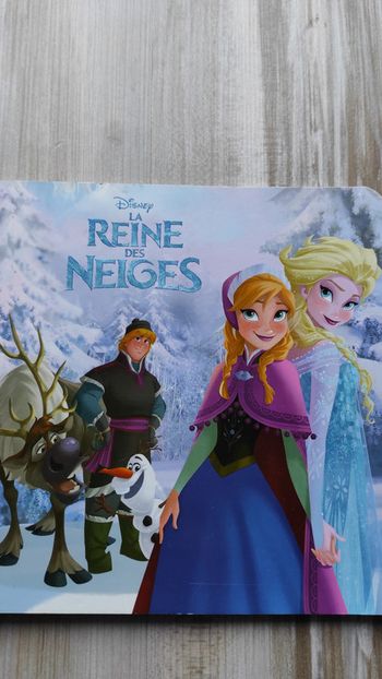 Livre La Reine des Neiges