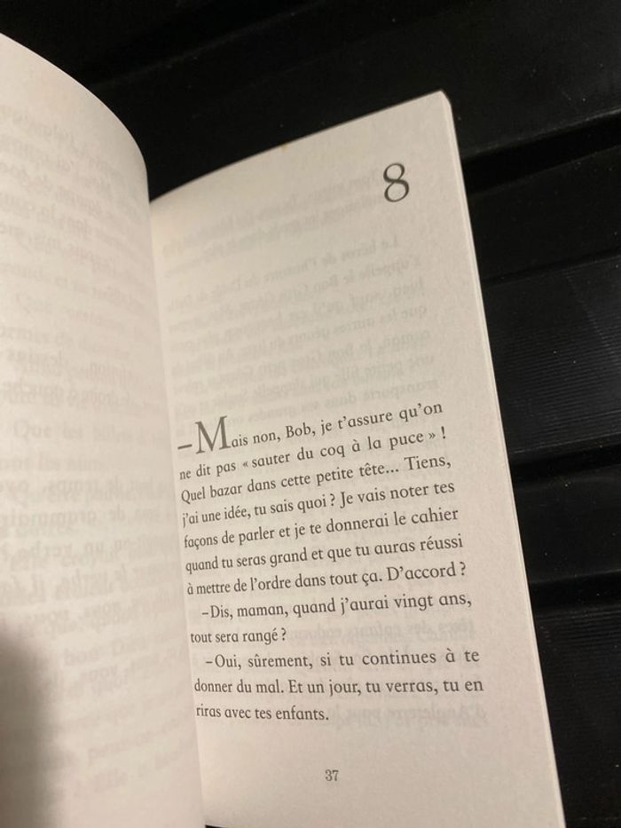 Gros sur la tomate de Dominique, Brisson - photo numéro 2
