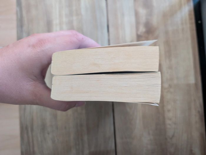 Lot livres La guerre des Elfes - photo numéro 12