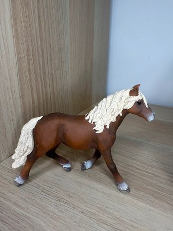 Étalon haflinger schleich