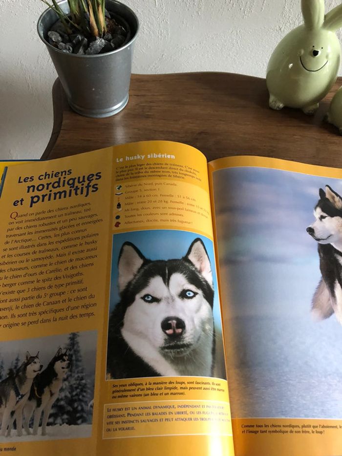 Livre tous les chiens du monde - photo numéro 4