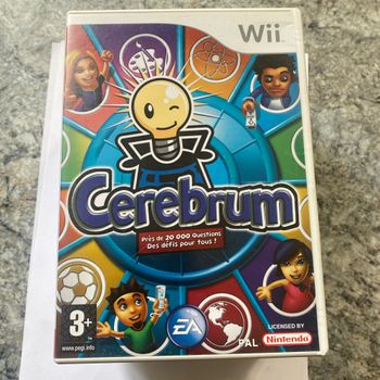 Cerebrum