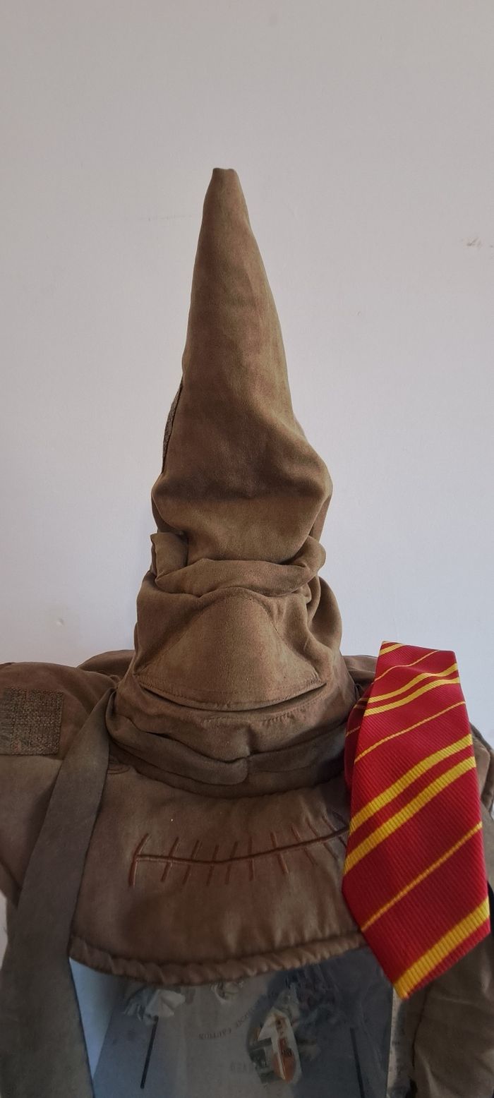 Choipeau Harry Potter - photo numéro 2