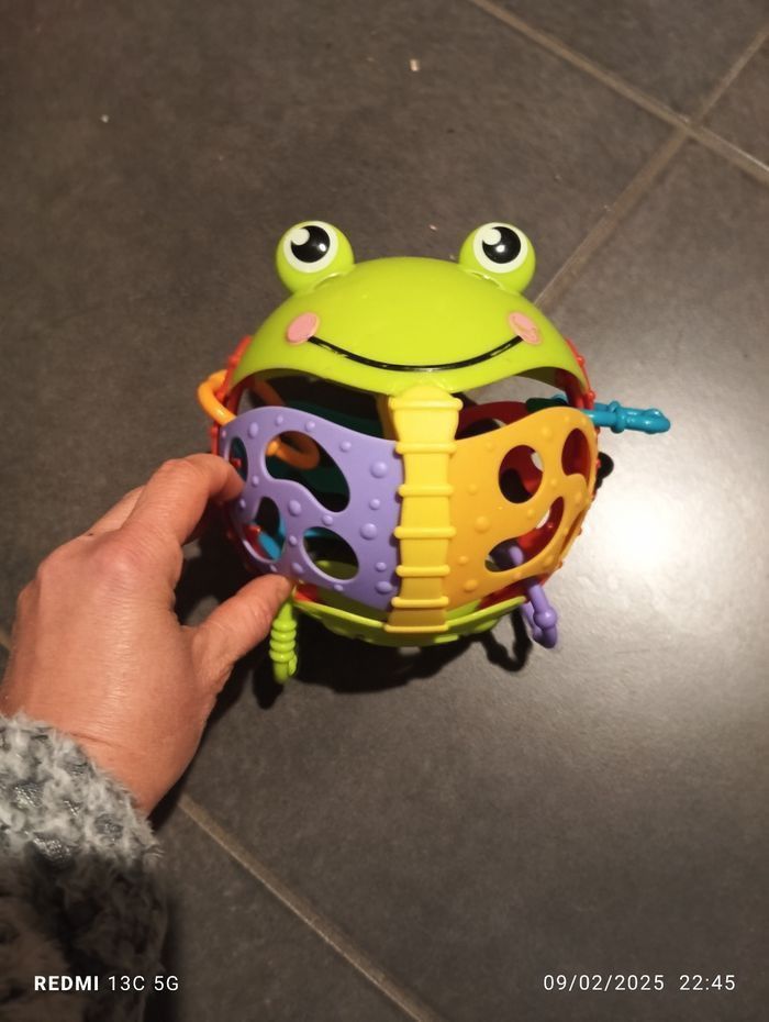 Grenouille d'activités