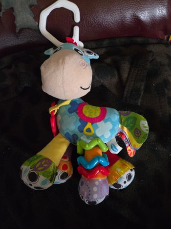 Cheval des sensations