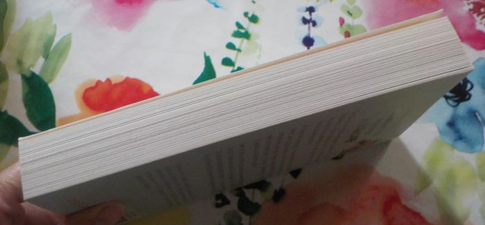 Les fantastiques aventures de Surcouf de Christine Lacroix Ed. France Loisirs - photo numéro 4