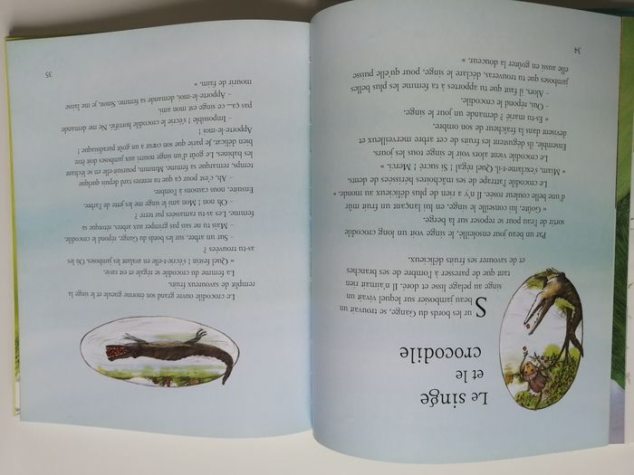 histoires d'animaux - photo numéro 4