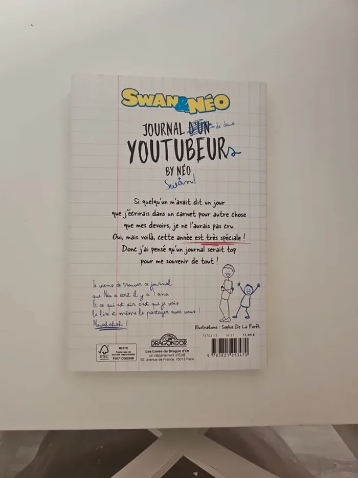 Livre : Journal d'un youtubeur - photo numéro 2