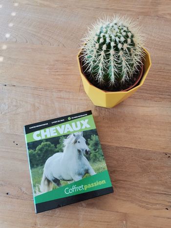 Coffret passion chevaux