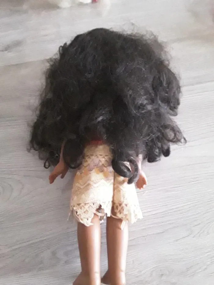 Poupée Vaiana et Pua - photo numéro 4