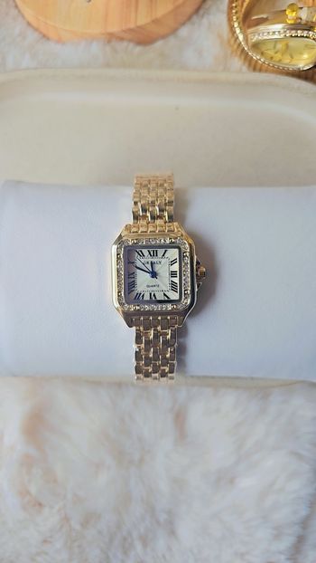 Très jolie montre haute qualité