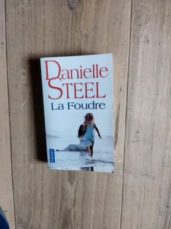 Danielle Steel La foudre
