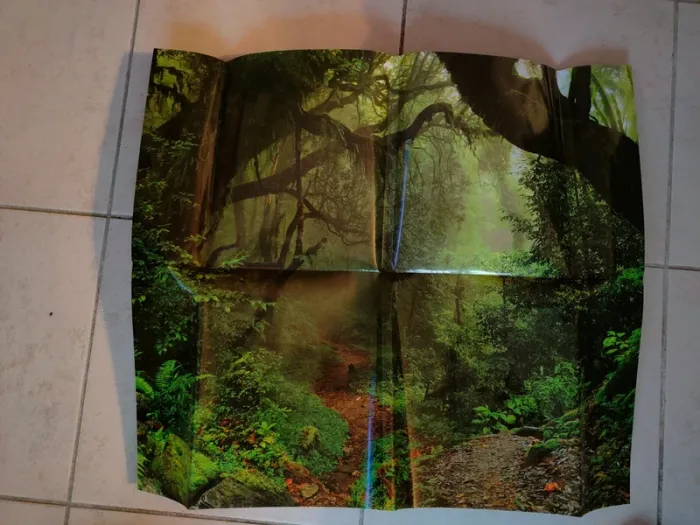 Livre Les arbres Piccolia Tout un monde en photos - photo numéro 3