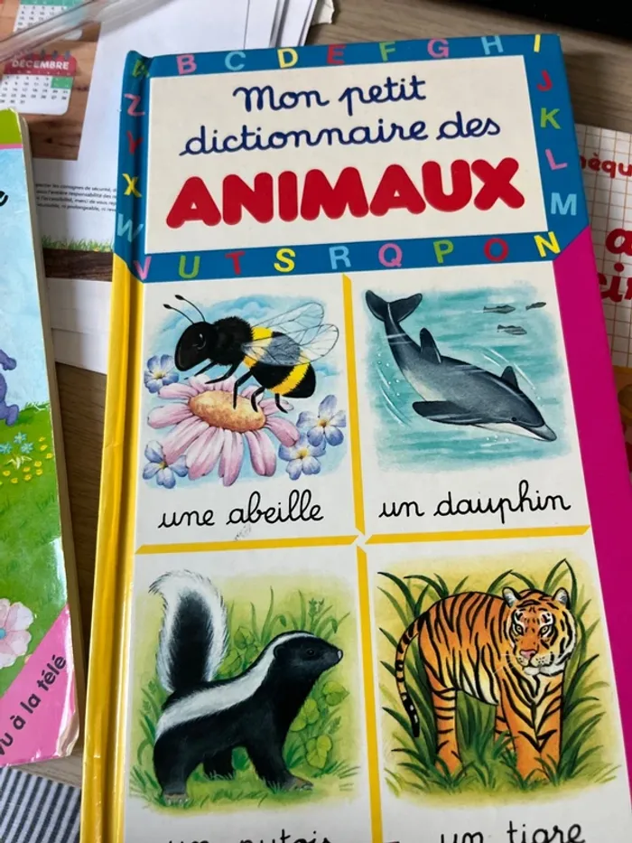 Lot livre enfants - photo numéro 4