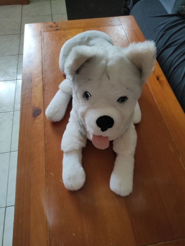 Peluche husky