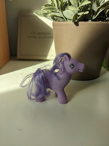 Poney