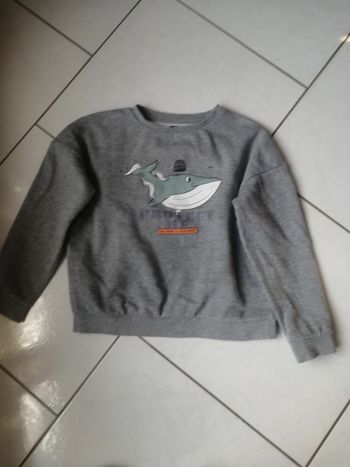 Pull baleine 10A