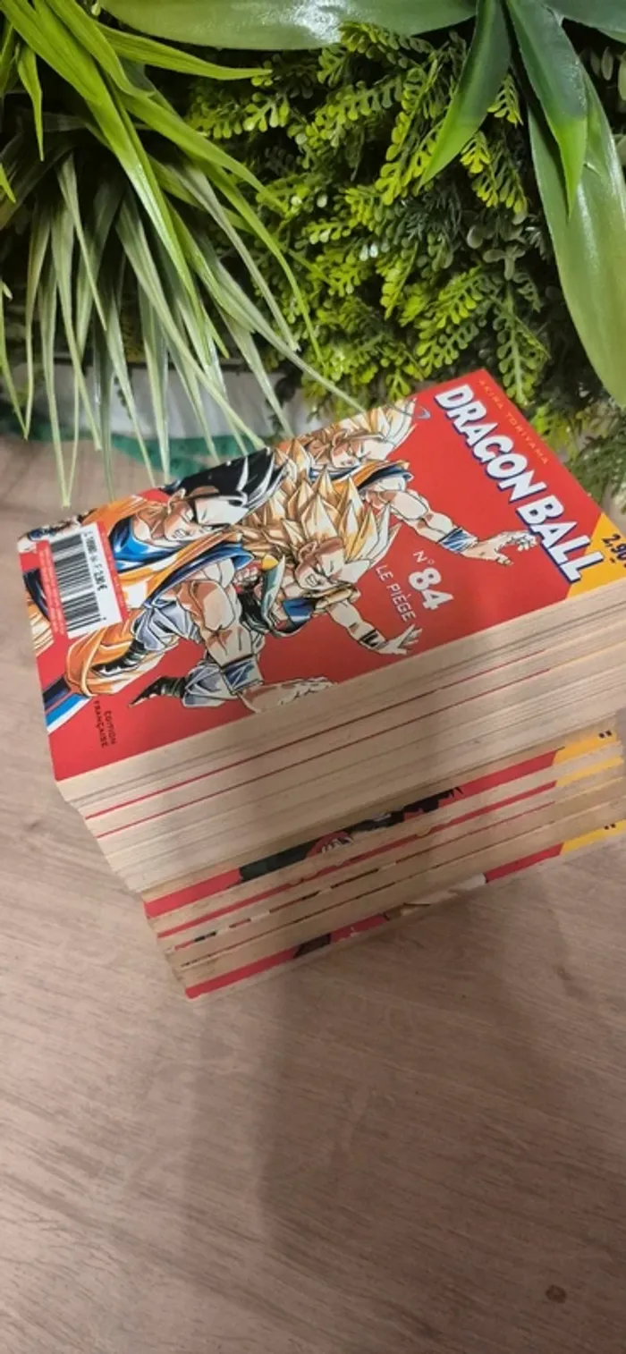 Ancien manga dragon ball - photo numéro 6