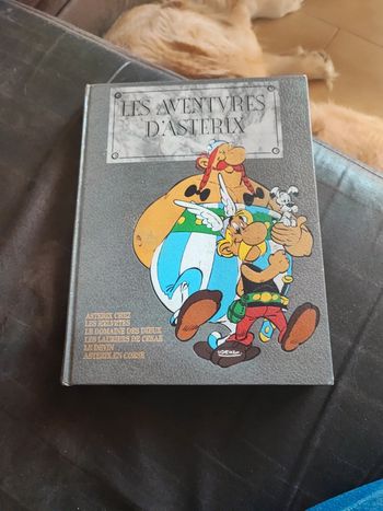 Astérix et Obélix hachette