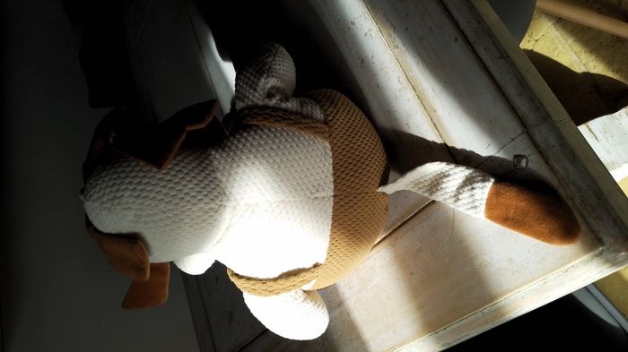 peluches - photo numéro 8