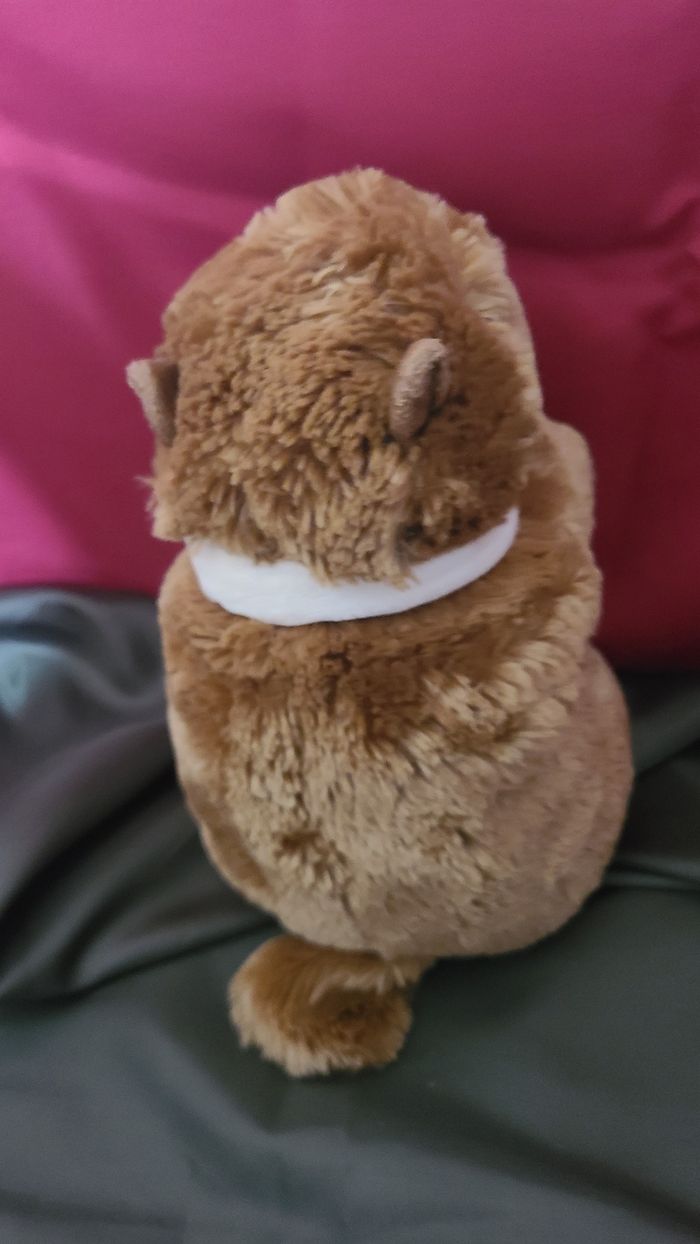 Peluche marmotte CREATIONS DANI Castor écharpe - photo numéro 5