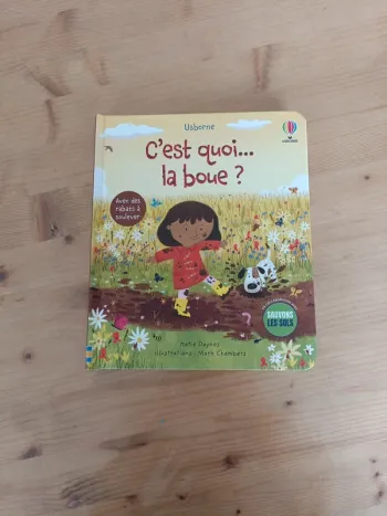 Livre avec rabats