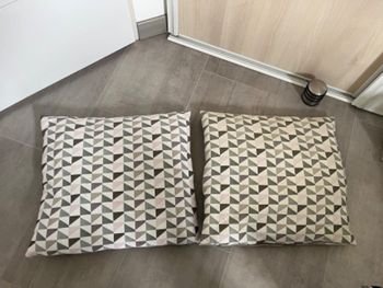 2 coussins 50x50