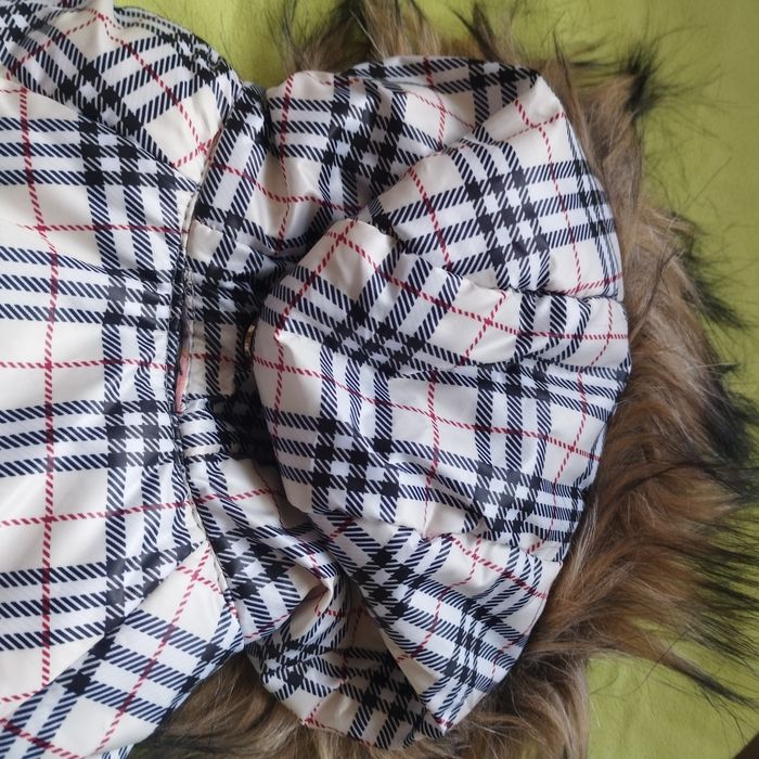 Doudoune pour petit chien avec capuche Neuf - photo numéro 5