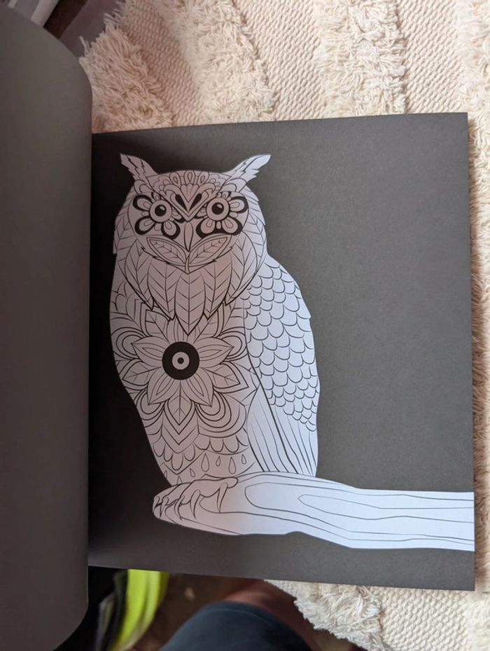 Cahier de coloriage. Oiseaux. Neuf - photo numéro 4