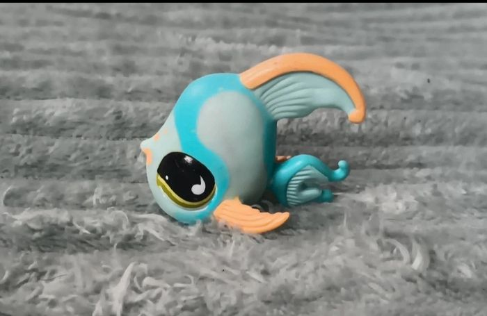 Petshop poisson 831 - photo numéro 3