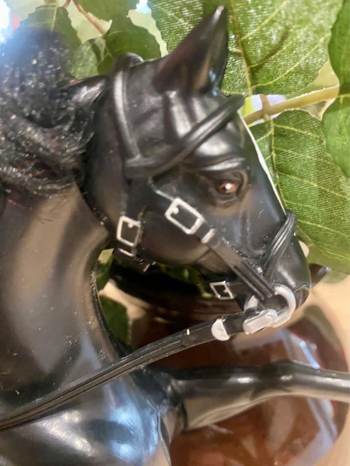 Zorro et son cheval Tornado qui henni - photo numéro 18