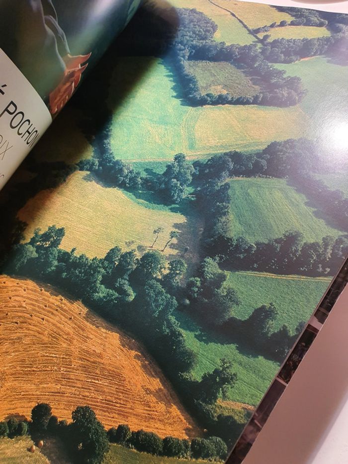 Vu du Ciel ! Yann Arthus-Bertrand - photo numéro 2