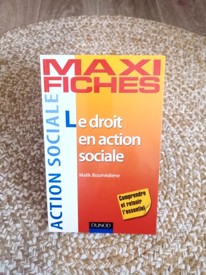 Maxi Fiches Le droit en action sociale
