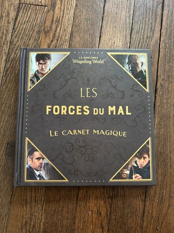 livre Les forces du mal Le carnet Magique Harry Potter