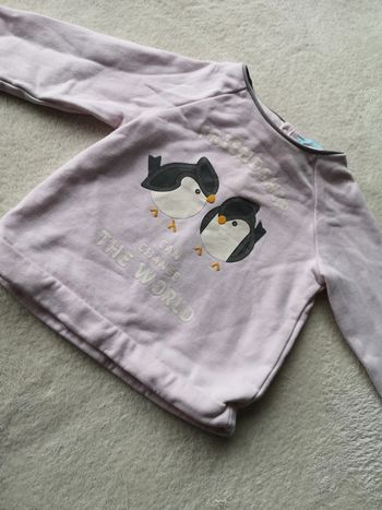 Sweat rose pâle 23 mois